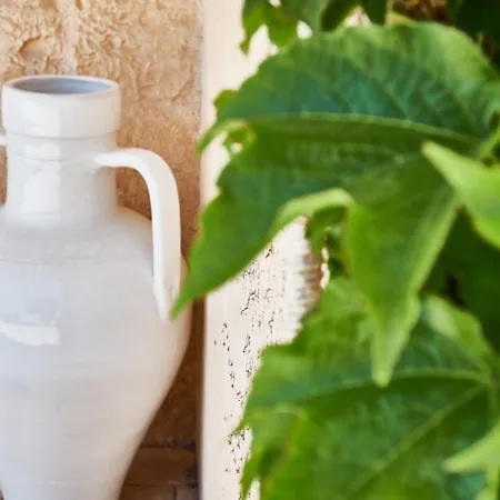 Equorum Prospectus 2 - Ostuni Centro - Guest House Esterno foto